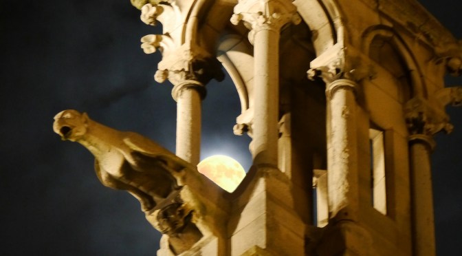 9. Toto, We’re Not in Kansas Anymore-Gargoyles Watch Over Us