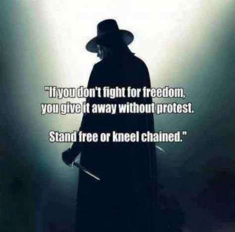 if-you-dont-fight-for-freedom-500x530